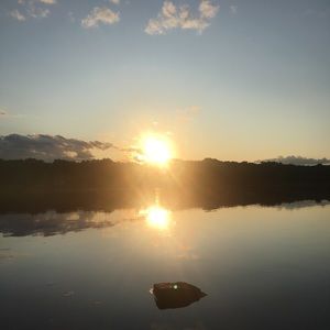 Meet your Posher, Bailey